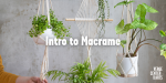 Introduction to Macrame: Plant Hangers